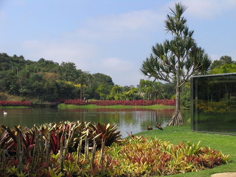 paisagistas-brasileiros-luiz-carlos-orsini-inhotim-lago