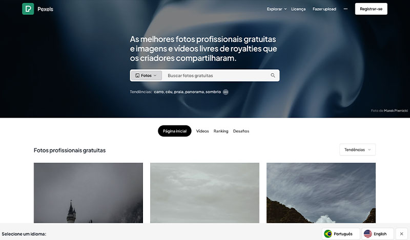 Melhores bancos de imagens: Pexels é uma boa opção para quem quer fazer downloads de imagens e vídeos sem necessidade de cadastro – Foto: Pexels