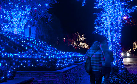 o-que-e-lighting-design-blue-christmas-light