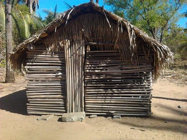 Arquitetura vernacular: casa de babaçu