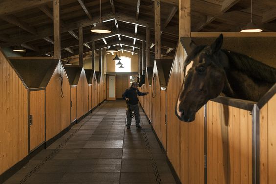 arquitetura-esportiva-centro-equestre-carlos-castanheira-clara-bastai-area-interna