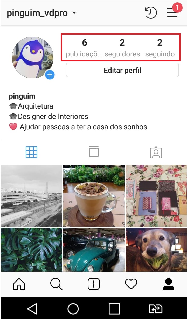 como-usar-instagram-ver-seguidores