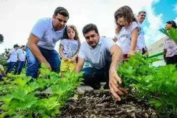 Hortas Urbanas: primeira colheita da Horta Urbana em Maceió