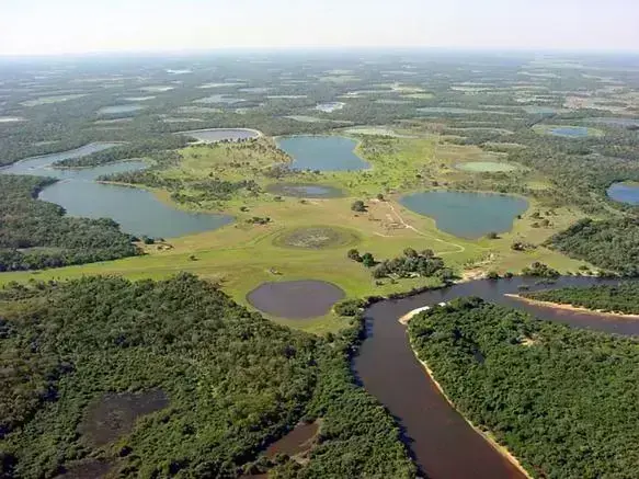 Ilhas de calor: planície de inundação em área de floresta (foto: iGui Ecologia)