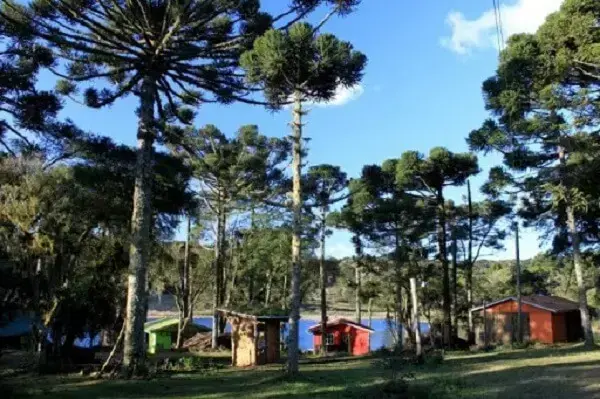 A Ecovila Instituto Arca Verde está localizado em São Francisco de Paulo no Rio Grande do Sul