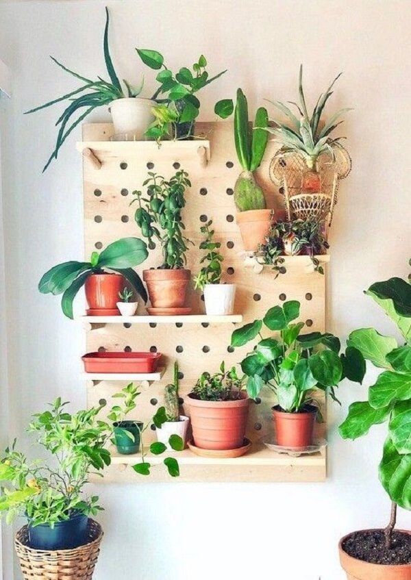 O pegboard madeira serve de suporte para diferentes vasos de plantas