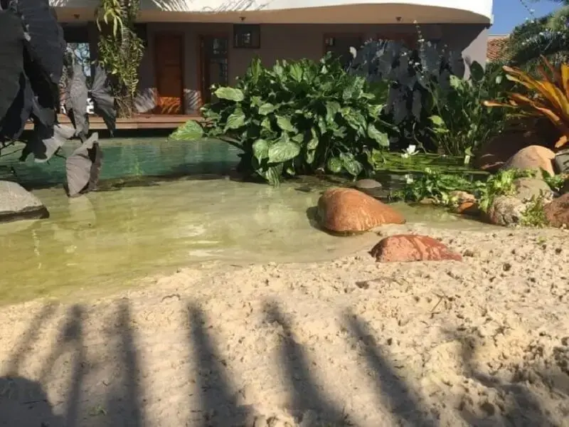 Piscina biológica: que tal criar um refúgio desse no seu próximo projeto. Fonte: Natural Lagos