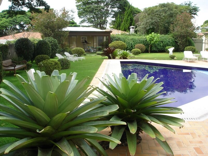 Paisagismo residencial: as bromélias foram cultivadas próxima a piscina